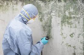 Best Residential Mold Inspection & Testing  in Clear Lake Shores, TX